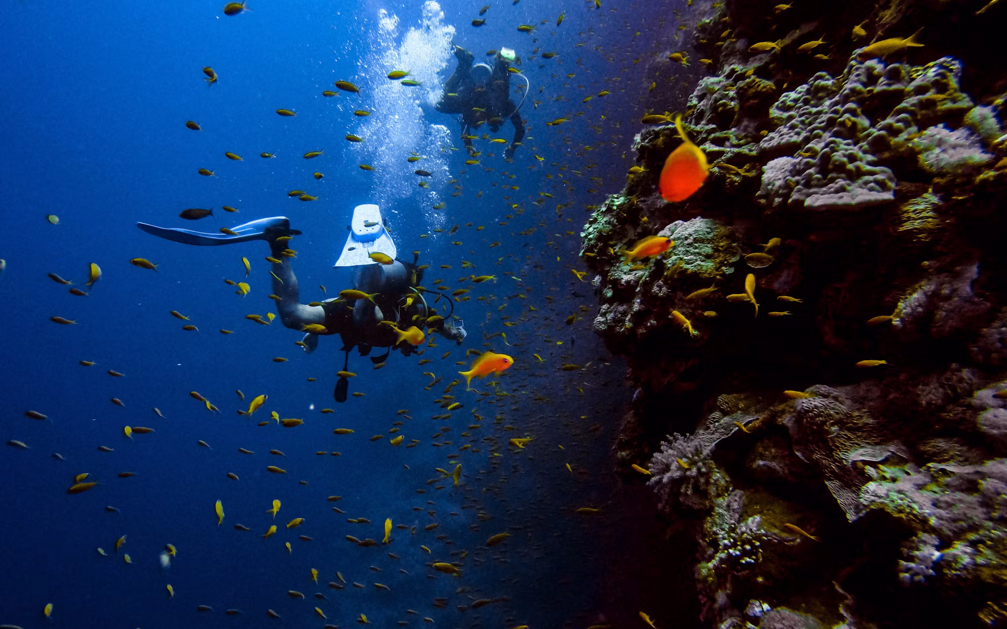 Diving into Adventure: Exploring the Depths of the Underwater World