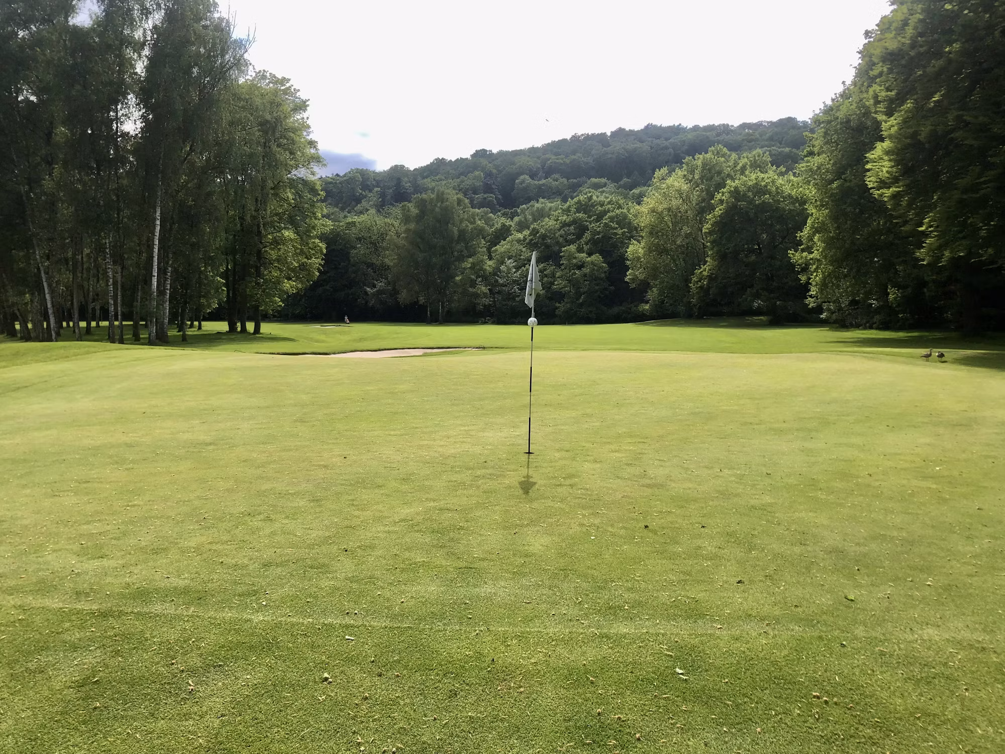 Golf Etiquette: The Unwritten Rules of the Game